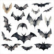 Halloween set with black bats