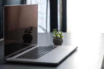 Wall Mural - laptop on the desktop on a blurred background.