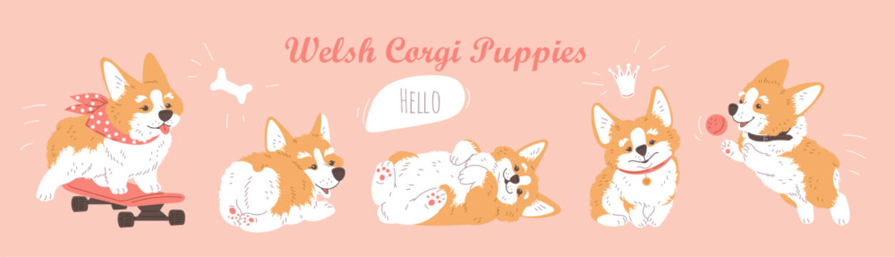 Wall Mural -  - Welsh cartoon Corgi puppy dog in various poses, enjoy ride on skateboard, caressing, playing lovely pets character set