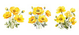garden buttercup flowers watercolor ai generated