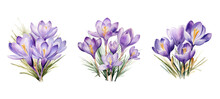 Floral Crocus Flowers Watercolor Ai Generated