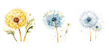 Seed Dandelion Watercolor Ai Generated