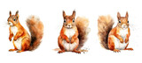 red squirrel watercolor ai generated