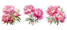 Floral Colorful Peony Flowers Watercolor Ai Generated