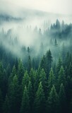 Fototapeta Sypialnia - Generative AI, Misty fir forest beautiful landscape in hipster vintage retro style, foggy mountains and trees.