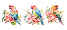 Bird Cute Parrot Floral Watercolor Ai Generated