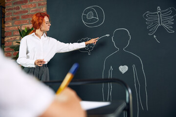 Wall Mural - Young woman, teacher standing at chalkboard with drawings of human and teaching kids anatomy. Teaching human structure. Concept of school, education, childhood, knowledge, lifestyle