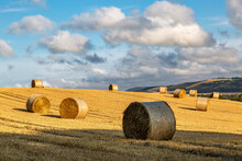 Straw Bales In The Sussex Countryside On A Sunny Summer's Evening