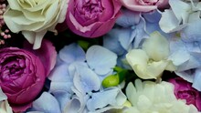 Floral Natural Background With Blue Gardenia, Pink Rose, White Chrysanthemum Close-up