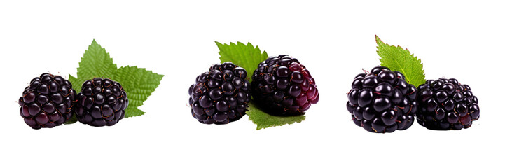 Wall Mural - Fresh blackberries with green leaves isolated on transparent background