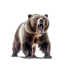 Intimidating Brown Grizzly Bear Roaring Aggressively, Captured Isolated On A White Background Showcasing Wild Predatory Instincts, Generative Ai