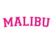 Preppy Collegiate Varsity Pink Malibu California T-shirt
