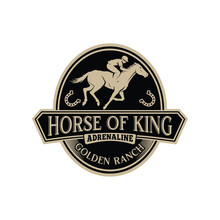 Horse Logo Design. Race Horse Logo Inspiration Vector