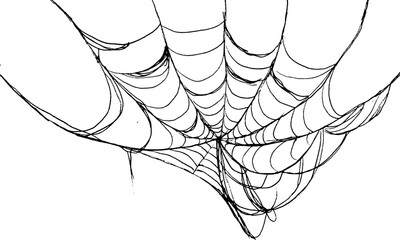 halloween spider web.