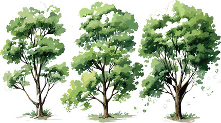 Tree watercolor style vector illustration set, graphics trees elements drawing for architecture and landscape design, elements for environment and garden, Environment, Garden, Plants, Vector graphics,