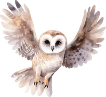 Flying Owl Watercolour Illustration Created With Generative AI Technology