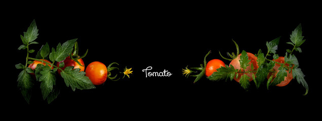 Poster - Cucumber and tomatoes with flower, leaf and spiral tendril on black background