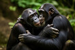 Tender scene of two bonobo chimpanzees kissing. Amazing African Wildlife. Generative Ai
