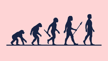 evolution of man vector illustration - human evolving from primate modern man