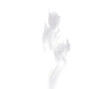 Smoke cloud, white and fog isolated on transparent background gas, steam or explosion with mist design. Dust, puff vaping or pollution for climate change or light air in cutout or png