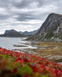 Norwegische Fjord-Landschaft