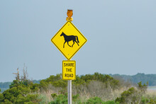 Share The Road Sign With A Wild Horse Symbol On Assateague
