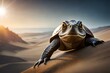 Żółw idący na pustyni