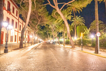 Poster - City streets in Cadiz at night, Andalusia