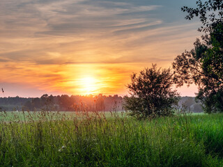 Stunning sunset scene with green grass field and forest in a far distance. Calm and peaceful mood. Nobody. Nature in a warm sun light. Calm atmosphere.