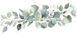 Fototapeta  - Watercolor Branches  Delicate Watercolor Eucalyptus Floral Card - Featuring Leaves, Seeds, and Branches  Generative AI Digital Illustration