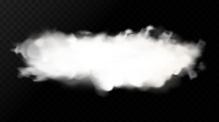 vector realistic isolated cloud on the transparent background white cloud isolated on black backgrou
