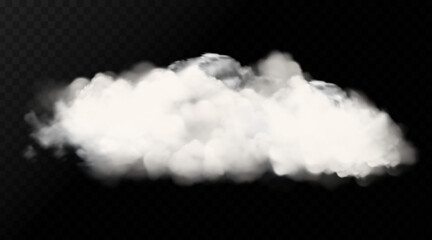 Wall Mural - Vector cloud of smoke or fog. Fog or cloud on an isolated transparent background. Smoke, fog, cloud png vector
