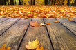 Display wood on autumn background  generative ai