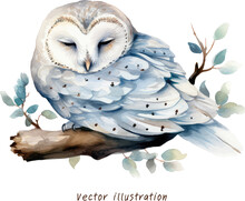 Winter Snowy Owl On A Branch Watercolor Vector Illustration