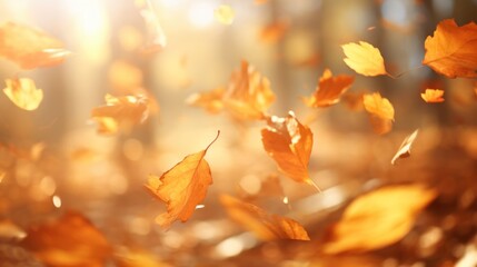 Wall Mural - Falling Autumn Leaves.