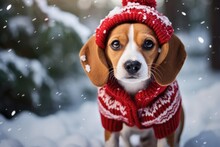 Funny Dog Embracing The Winter Season With A Cozy Christmas Sweater. Dog Christmas Sweaters, Holiday Dog Fashion, Snuggle Weather, Cozy Winter Dog Wear