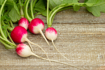 Wall Mural - Bunch of red round radishes on the brown wooden board.