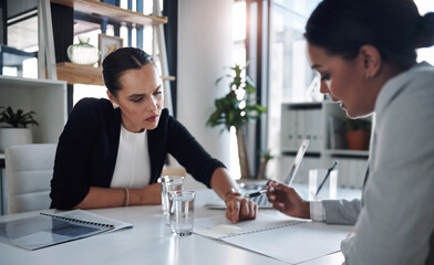 Poster - Were going over the fine print together. Cropped shot of two attractive young businesswomen filling out paperwork together inside an office.