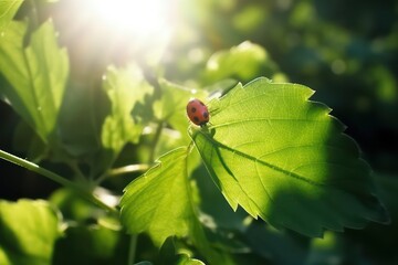 Poster - Wide format background image of fresh juicy green leaves