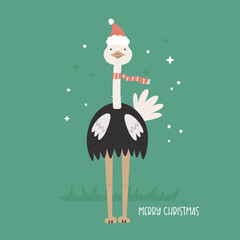 Wall Mural - Christmas greeting card with a funny ostrich in a Santa hat