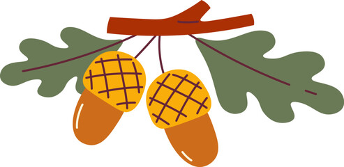 Acorns On Branch
