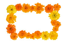 Marigold Flowers Isolated On A White Background ,frame. Card For Day Of The Dead. Postcard Mockup, Dia De Los Muertos. Flat Lay, Copy Space.