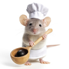 A Rat (Rattus) As A Tiny Gourmet Chef, With A Toque Blanche And Miniature Spoon.