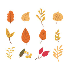 Set autumn tree leaves foliage bright forest decoration in cartoon style isolated on white background. Berries branches botanical collection
