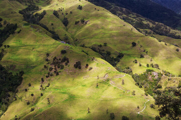 Poster - Green hills in Colombia