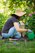 Young female in hat and gloves gardening with her dog