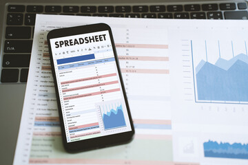 Fototapete - businessman working with data and graphs in spreadsheet documents for online analysis microsoft exce