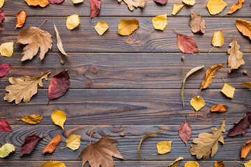 Wall Mural - Autumn composition made of dried leaves, cones and acorns on table. Flat lay, top view, copy space