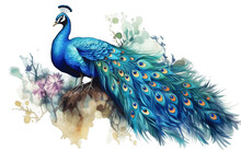 Watercolor Peacock Illustration Isolated, Generative Ai