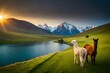llamas in the mountains sunrise background 